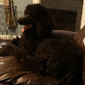 Meet your Posher, Mack